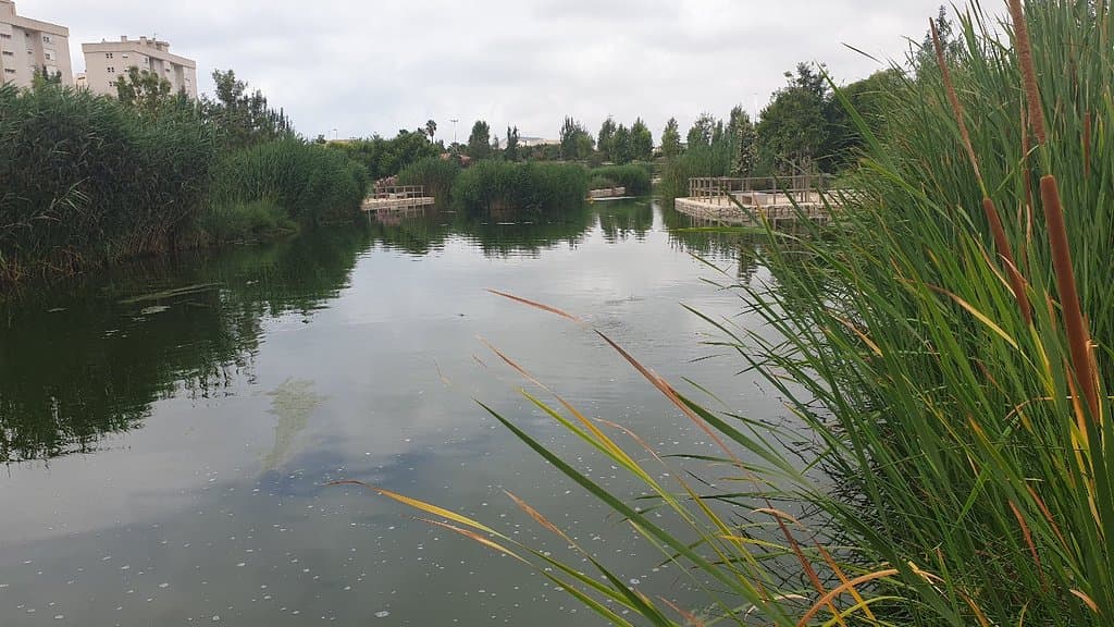La Marjal Wetland Park