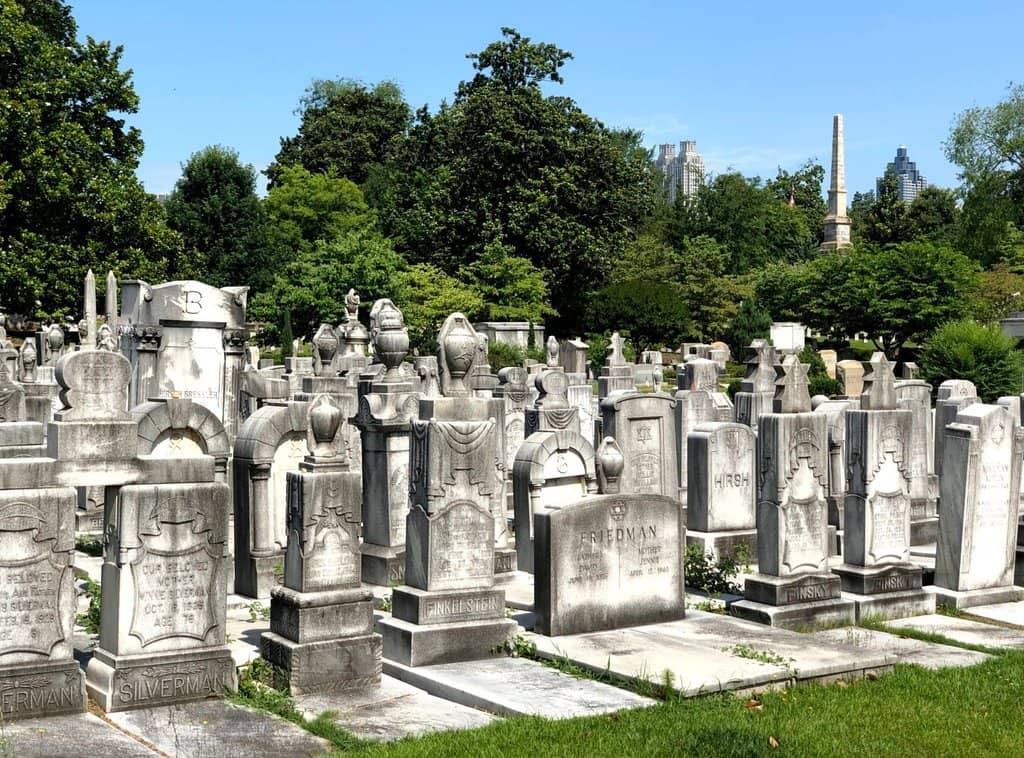 Beautiful Garden Setting