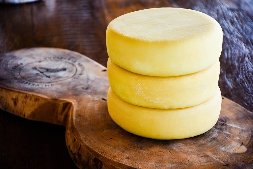 Canastra Cheese Tasting