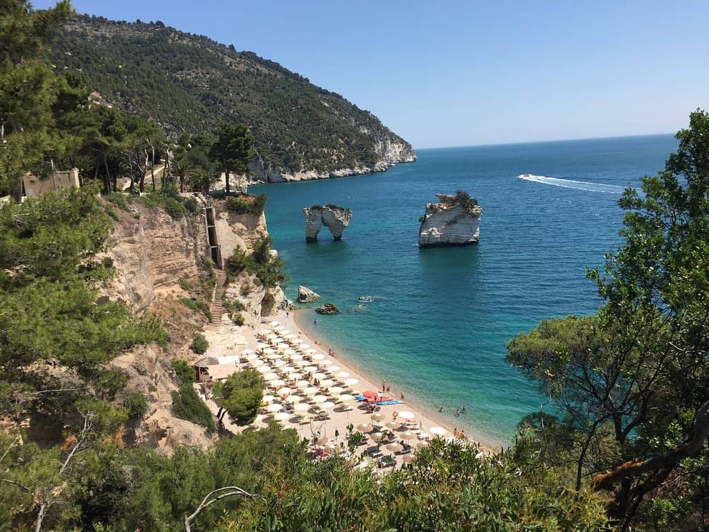 Cliffside Glass Elevators