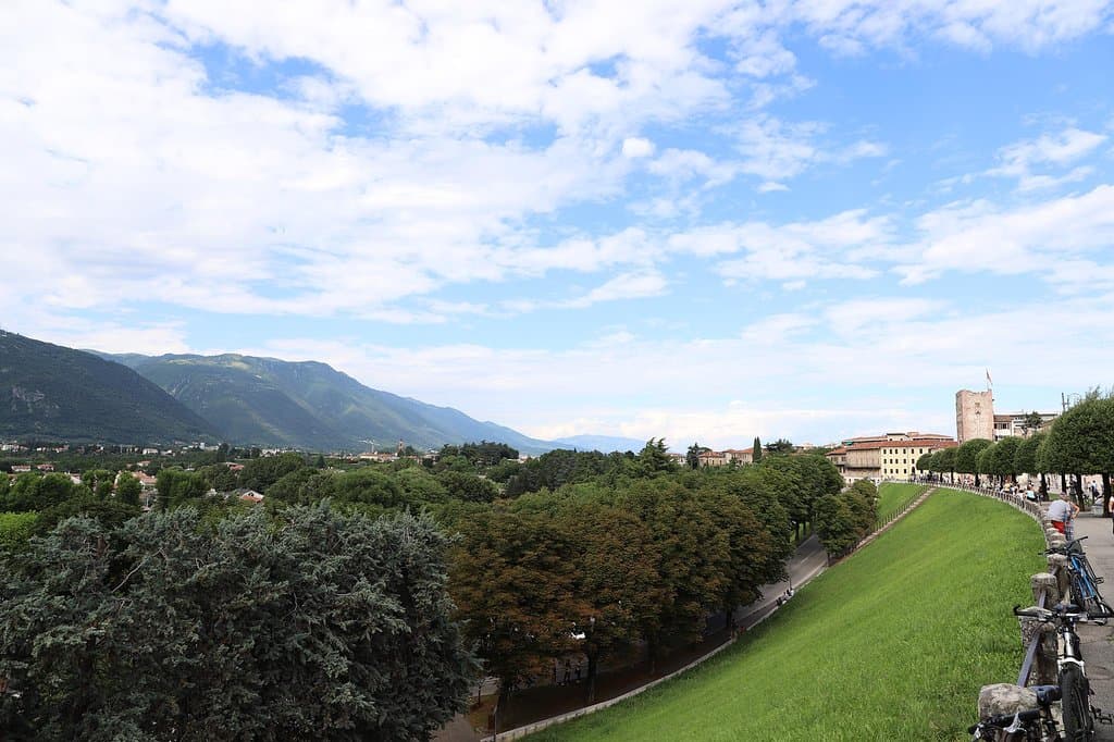 view