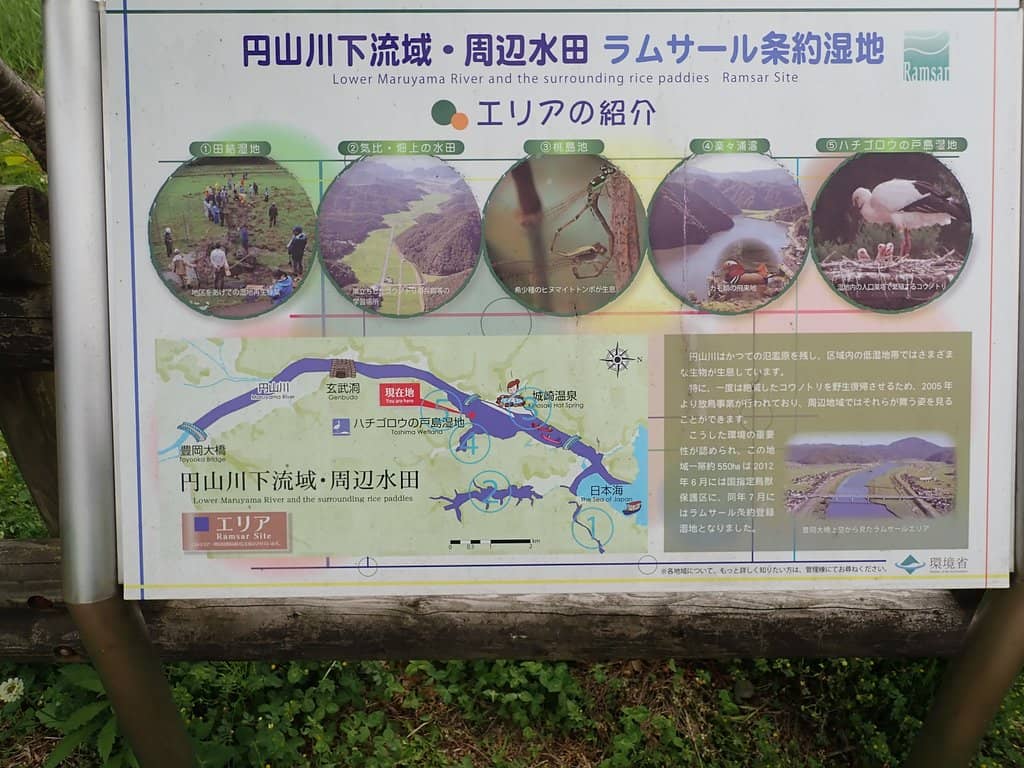 Peaceful Wetland Scenery