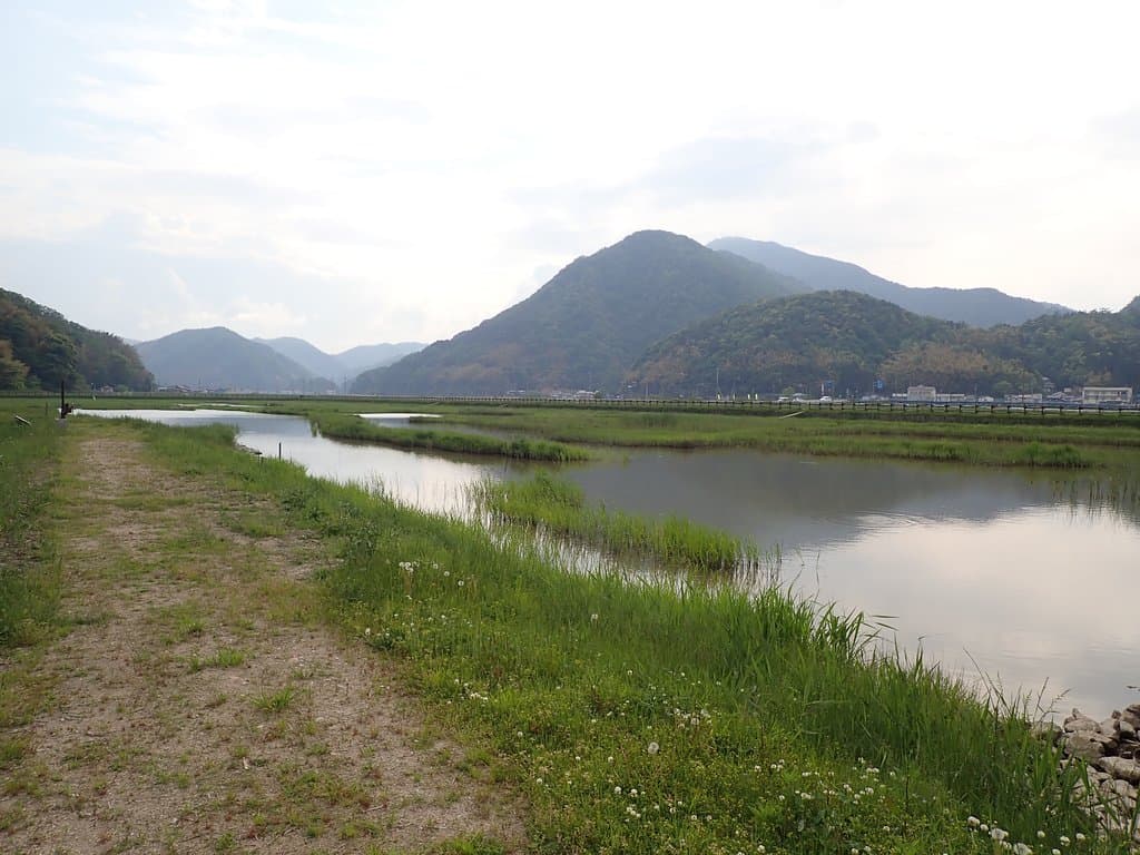 ハチゴロウとは2002年8月5日にこの地に飛来が確認されたコウノトリの愛称で、確認された8月5日にちなんで付けられたものです。 以来5年間毎年ここに飛来していたけども2007年に亡くなってしまったそうです。しかし、この地に他のコウノトリがいた記録は無く、ハチゴロウがここにいた5年間でコウノトリの生息について多くのことが確認できたんだそうです。