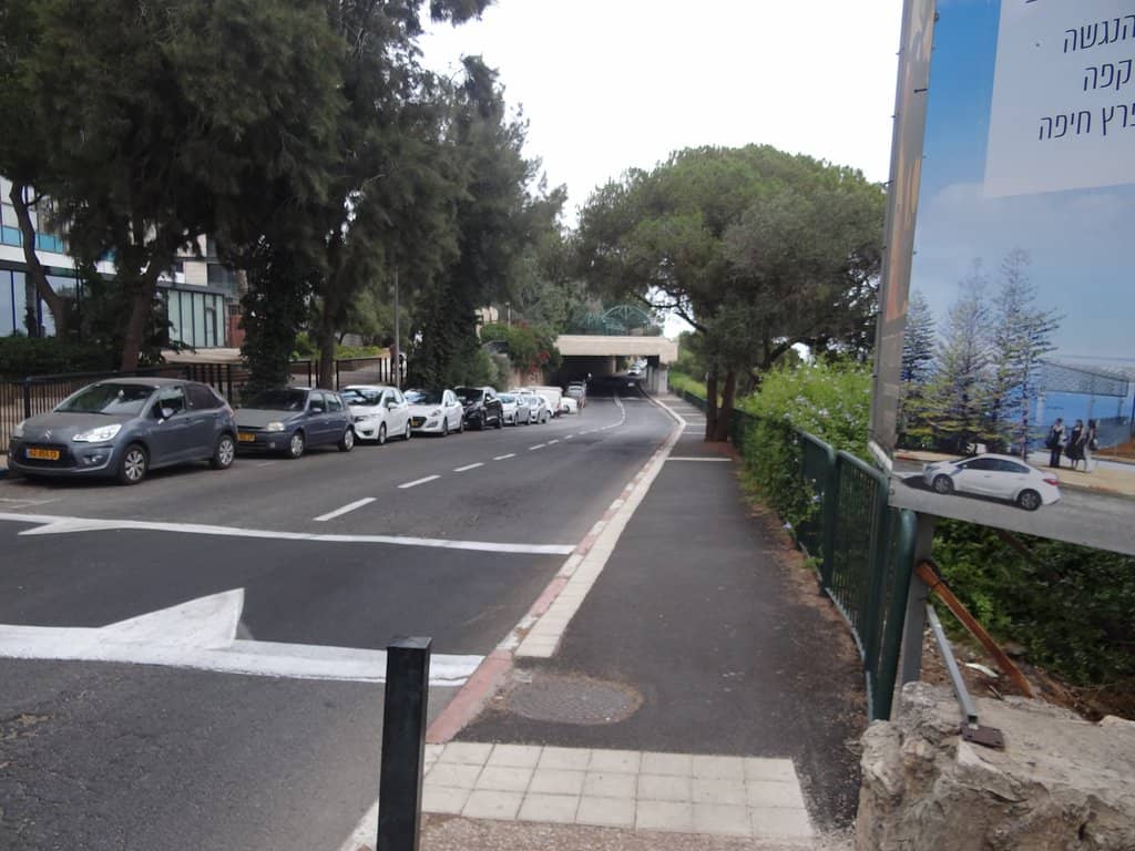 Tranquil Garden Setting