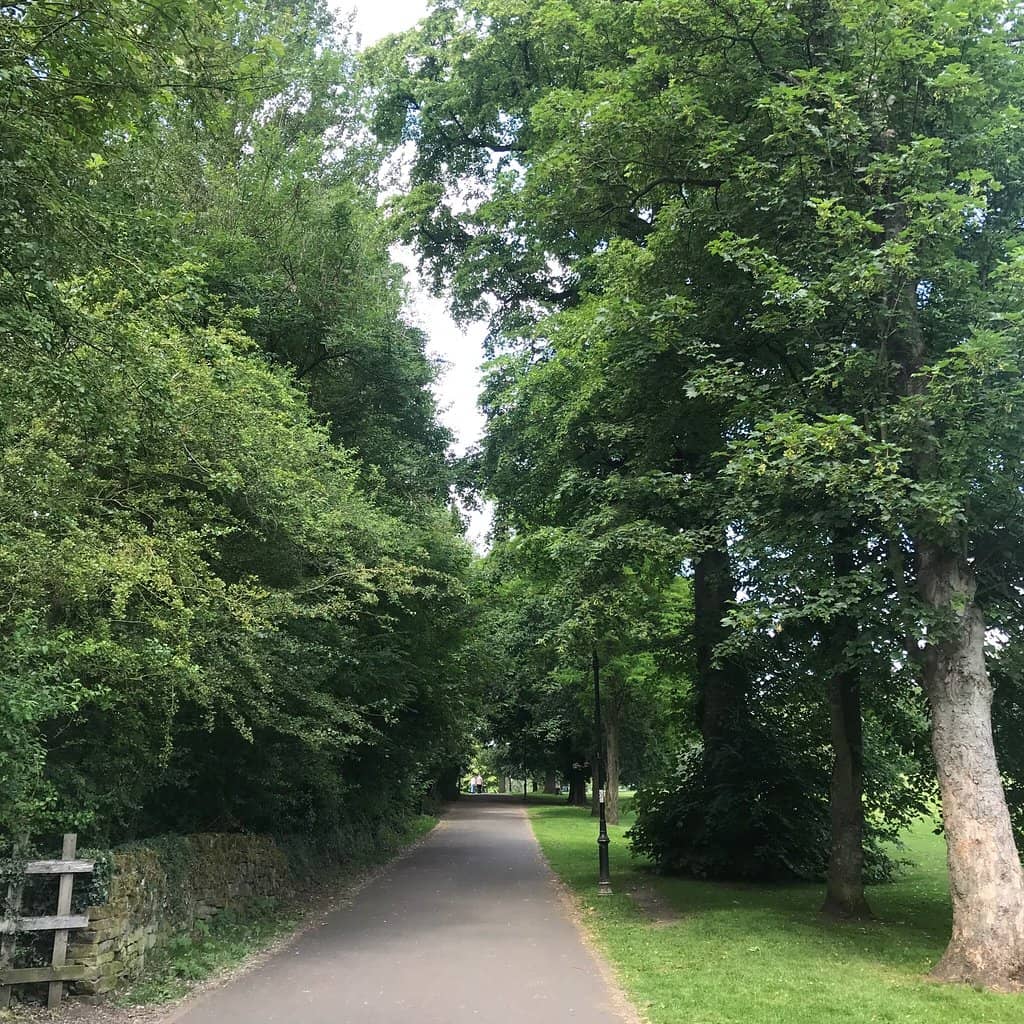 Epic Wooden Playground