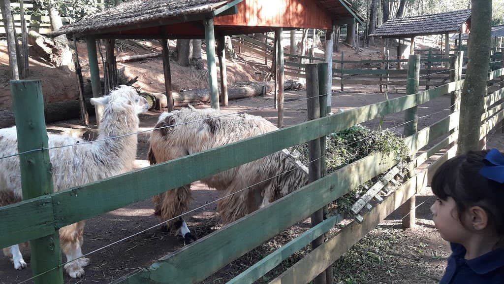 Adventure Activities