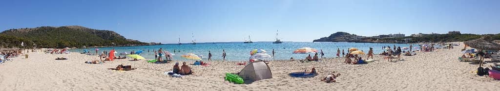 Natural Park Setting