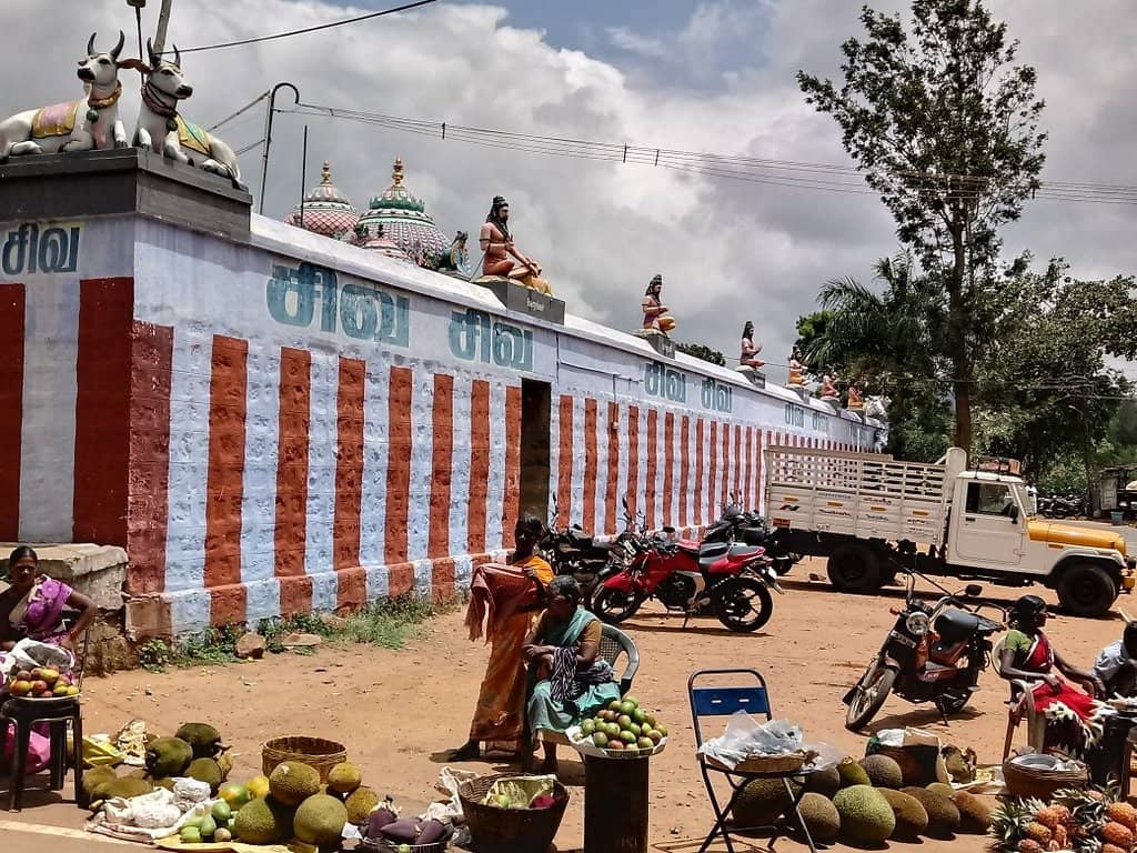 Siddhar Traditions Link