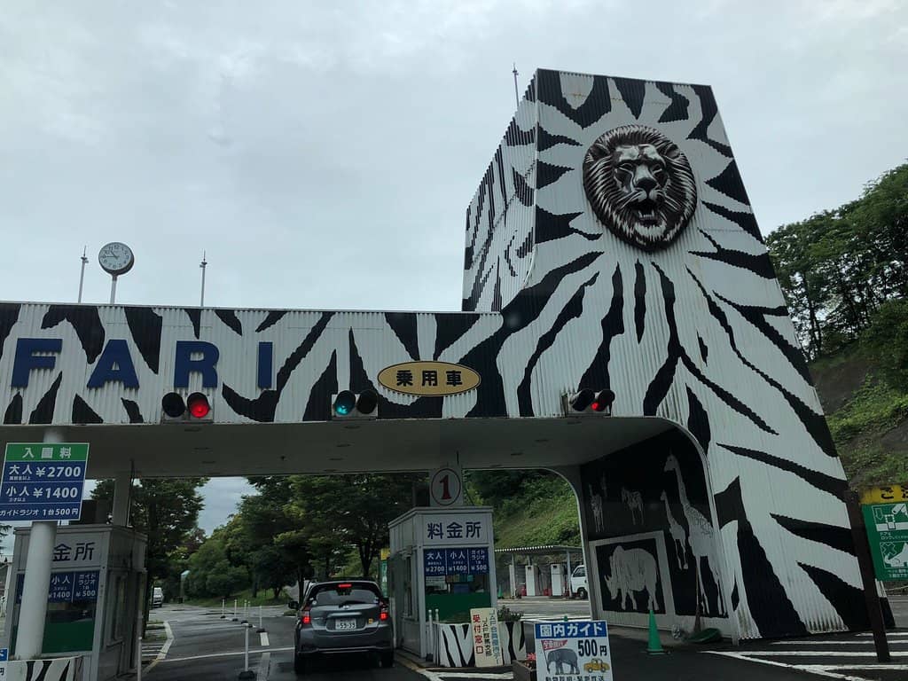 Animal Feeding Experiences