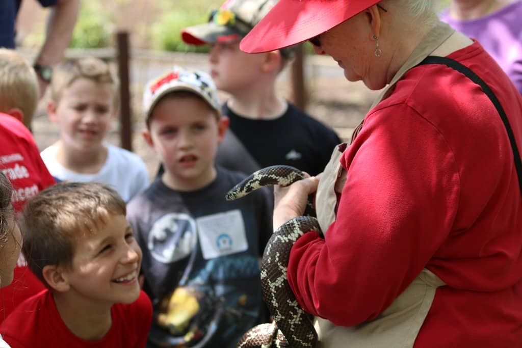 Dinosaur Among Us Exhibit