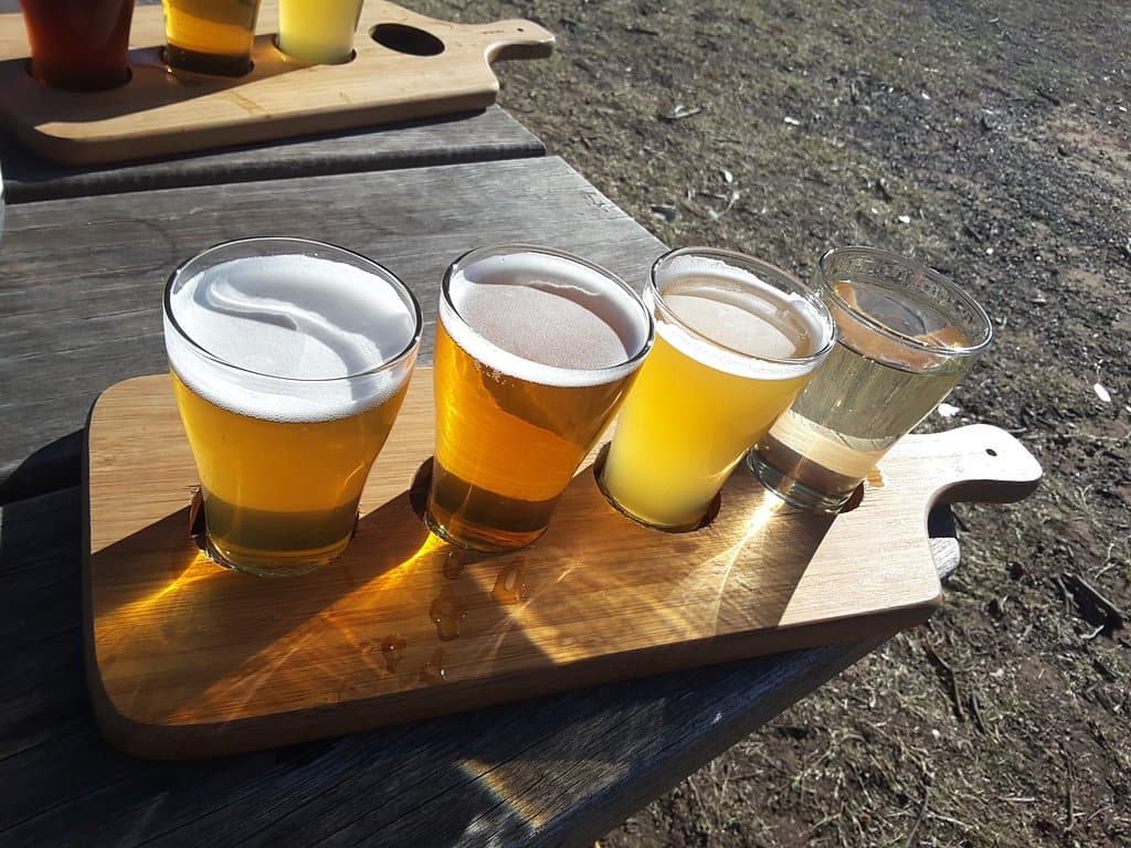 Beer tasting paddle