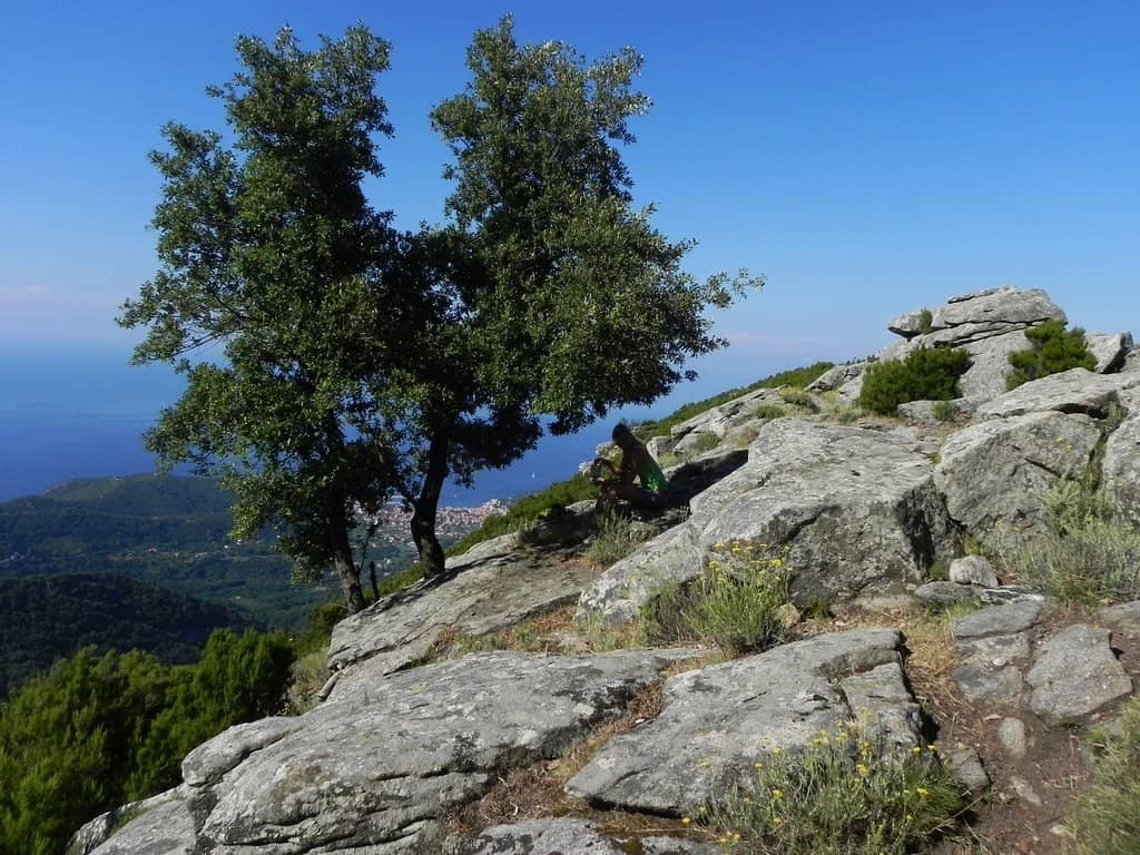 Hiking Trails