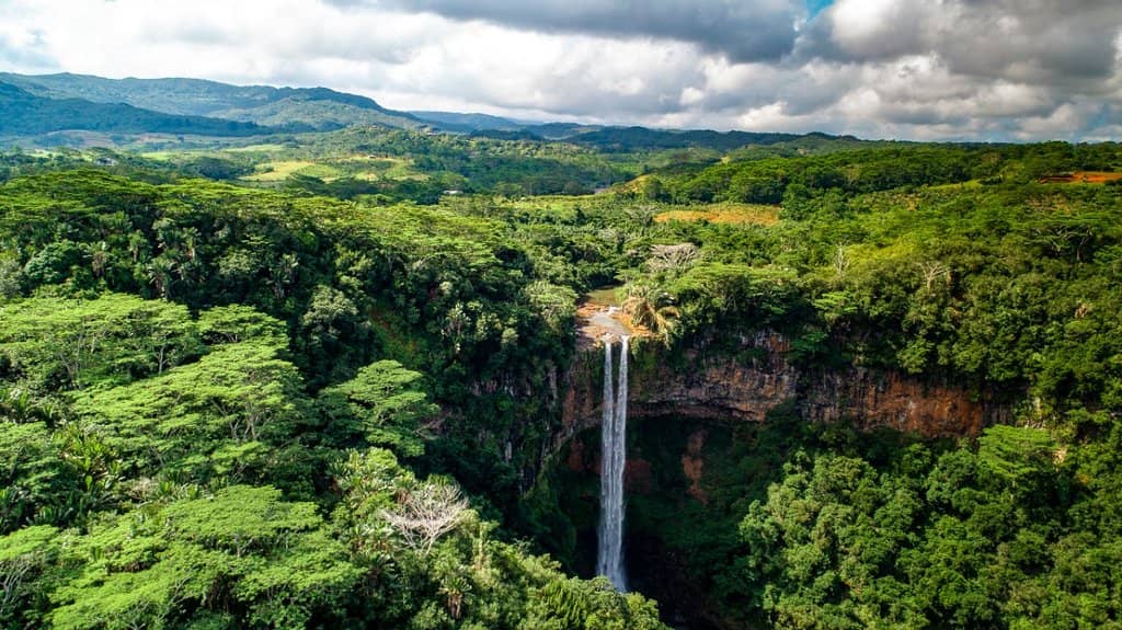 Lush Tropical Surroundings