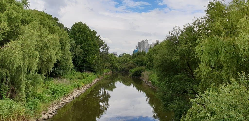Creek and greenery Yeouido Saetgang Ecological Park, facing East