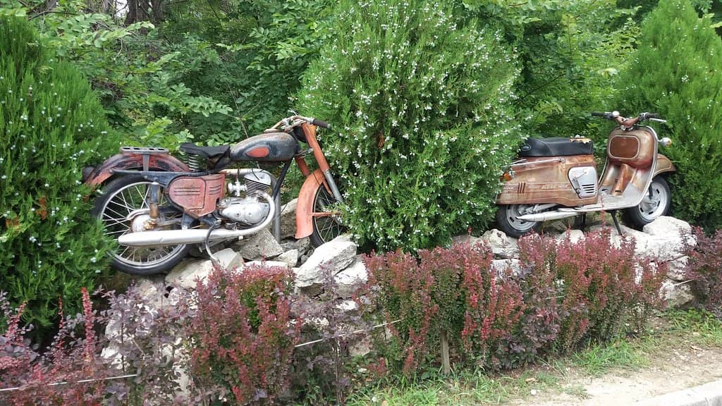 The Rose Garden (Rosarium)