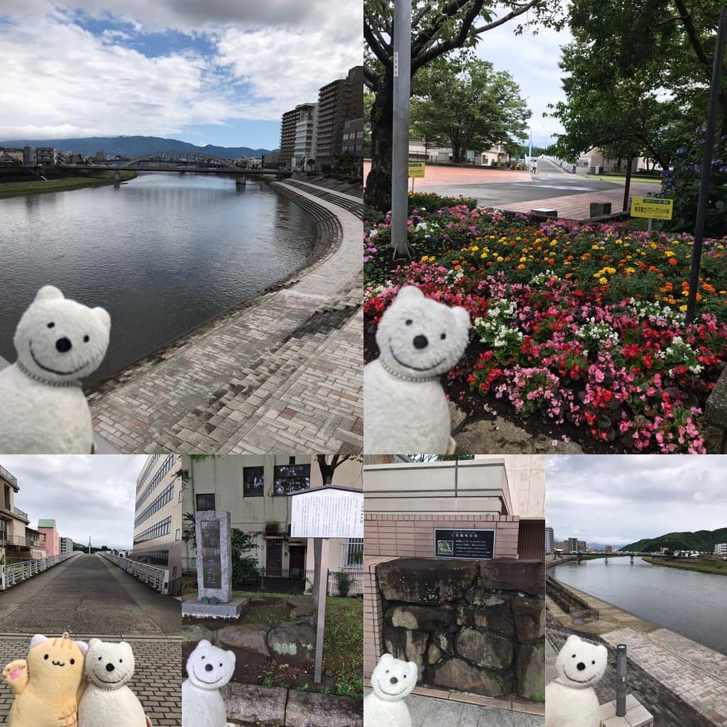 クマ散歩:沼津に品行方正なクマ出没 The Bear hung around Numazu!♪☆(^O^)/