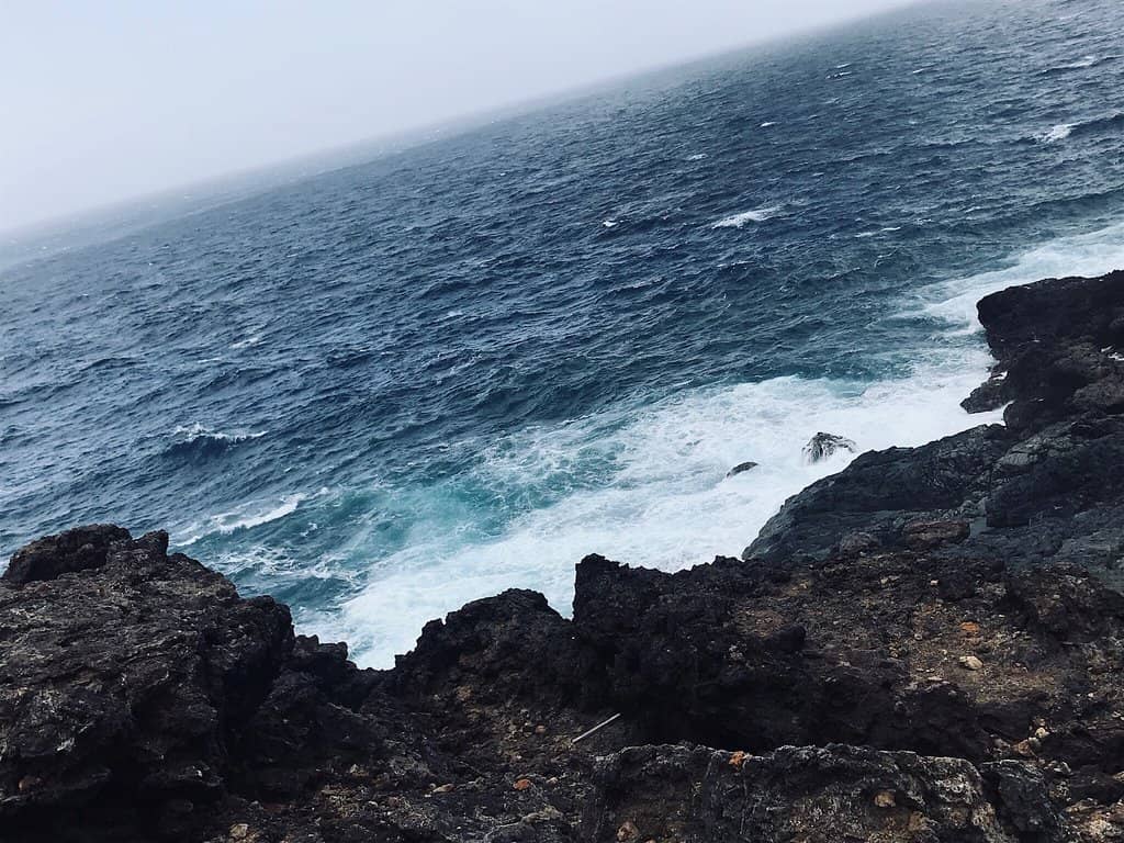 Natural Bridges & Savage Ocean