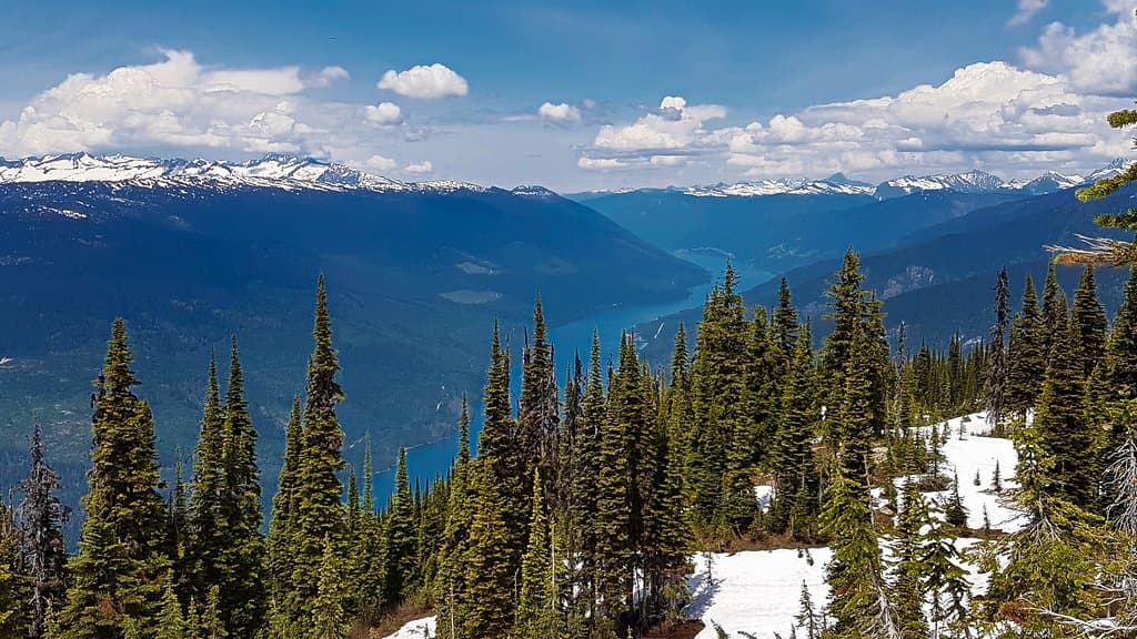 Top of Meadows in the Sky Pkwy mid of June