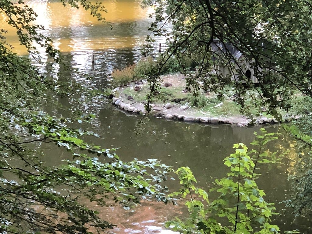 Svanelunden Park