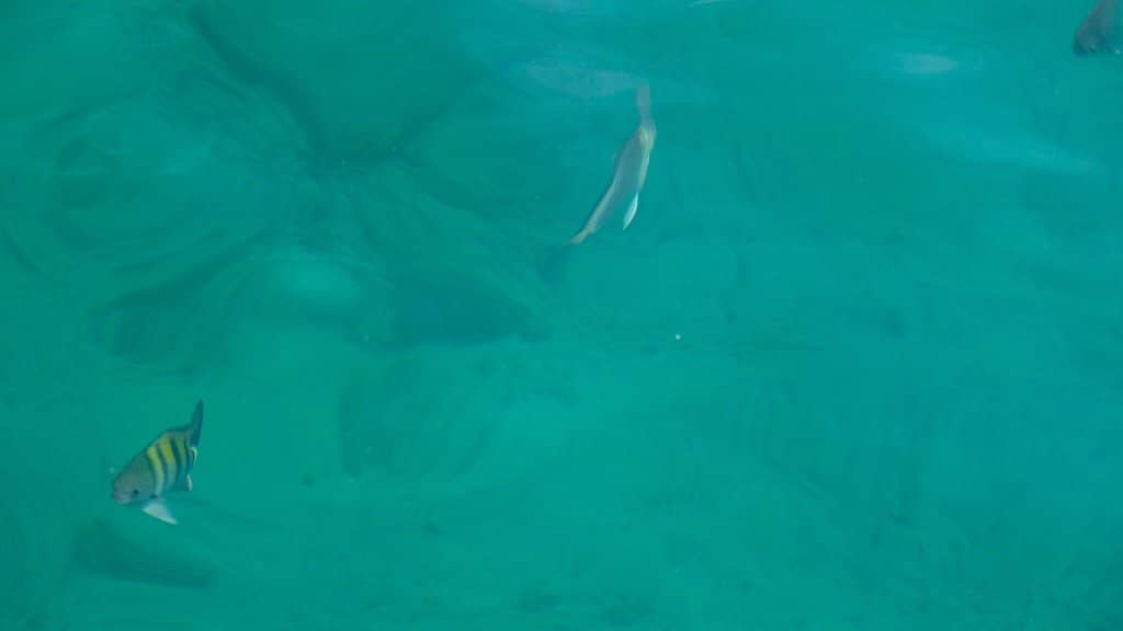 Idyllic Photo Opportunities