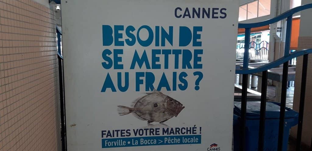 Fresh Produce Galore