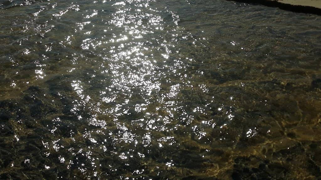 Refreshing Creek Waters