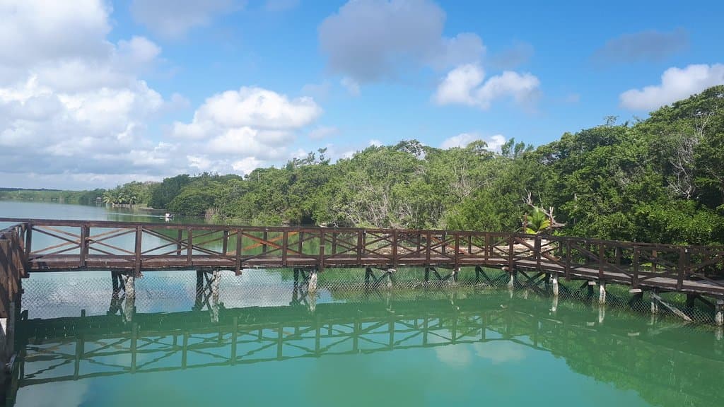 Manatee Sanctuary Laguna Guerrero