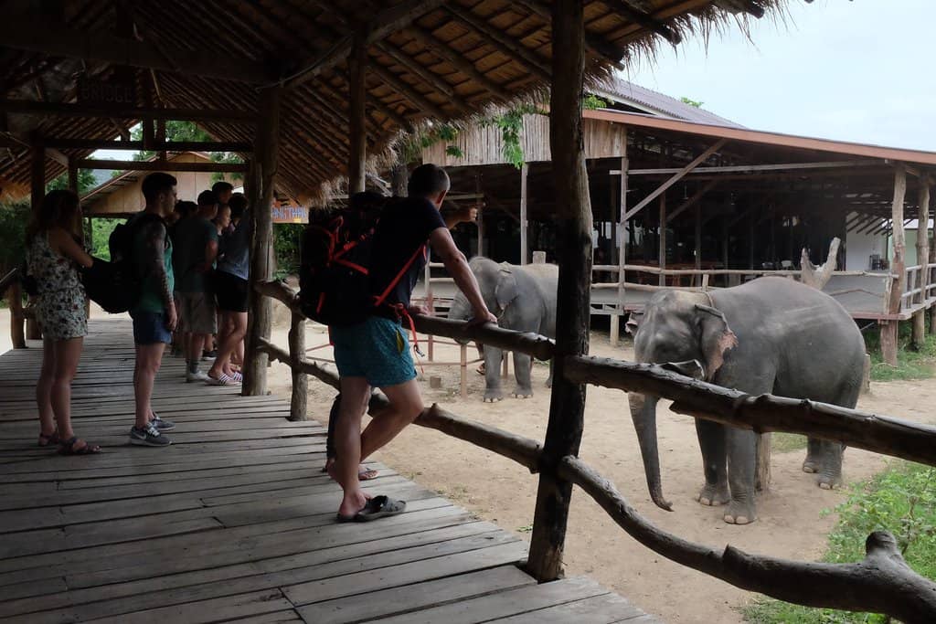 Making Elephant Treats