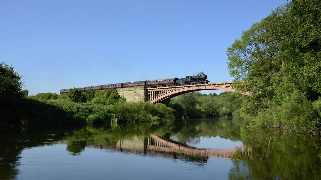 Steam and Diesel Locomotive Rides