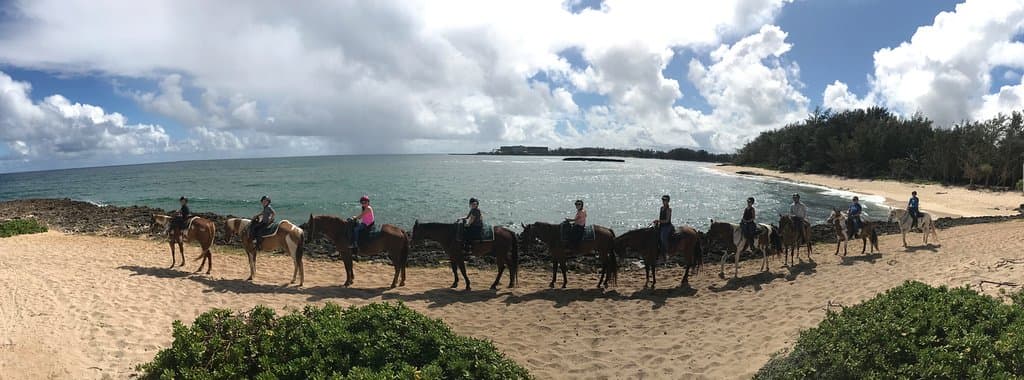 In panoramic view of Turtle Bay and Turtle Bay Resort.