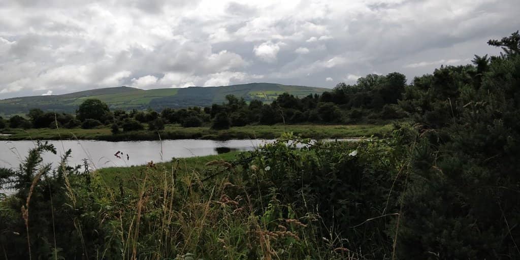 Wildlife Observation Hides