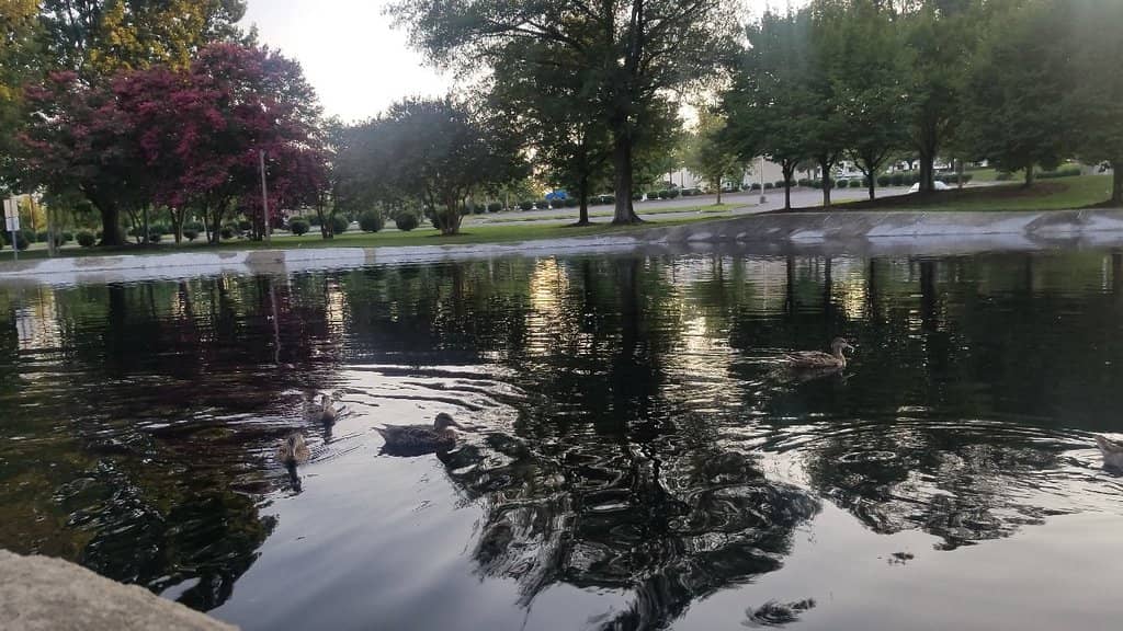 MLK Jr. Statue & Holocaust Memorial