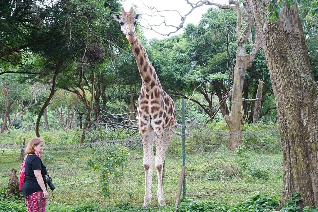 Uganda Wildlife Education Centre Entebbe