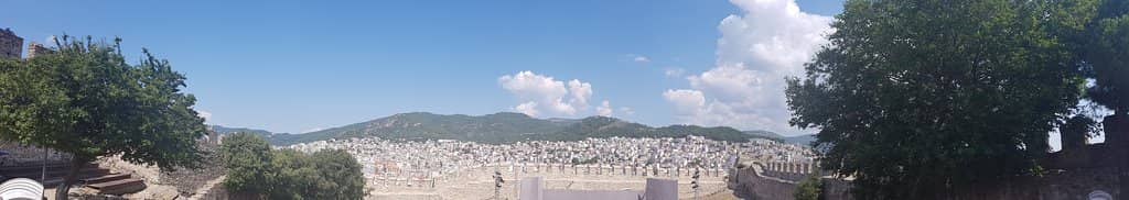 Vertical photo