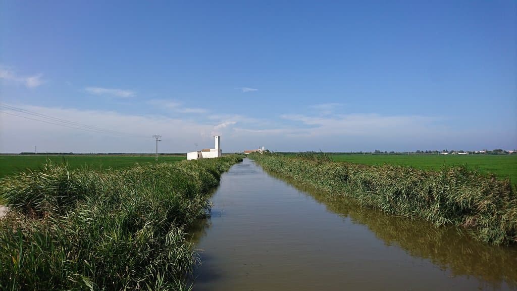 On the way to El Palmar