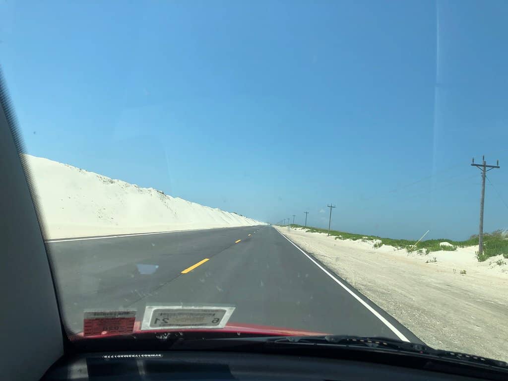 Fig Festival Experience