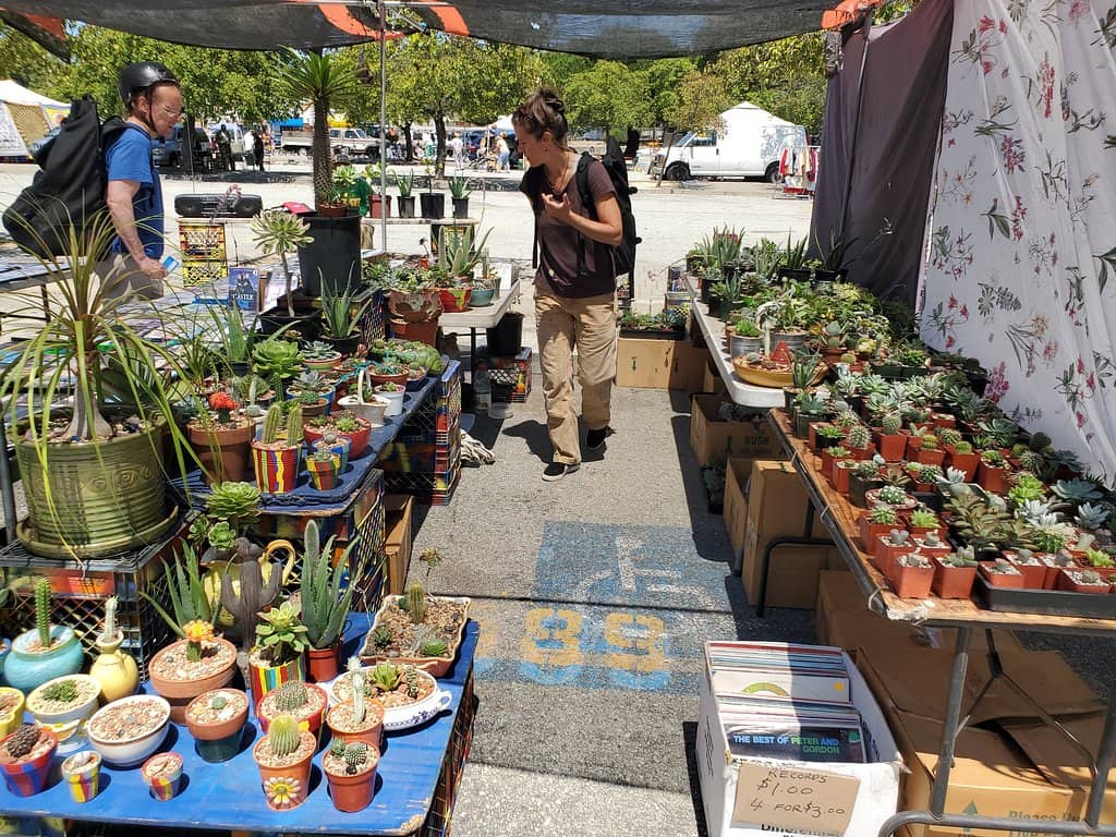 Handmade Crafts & Art