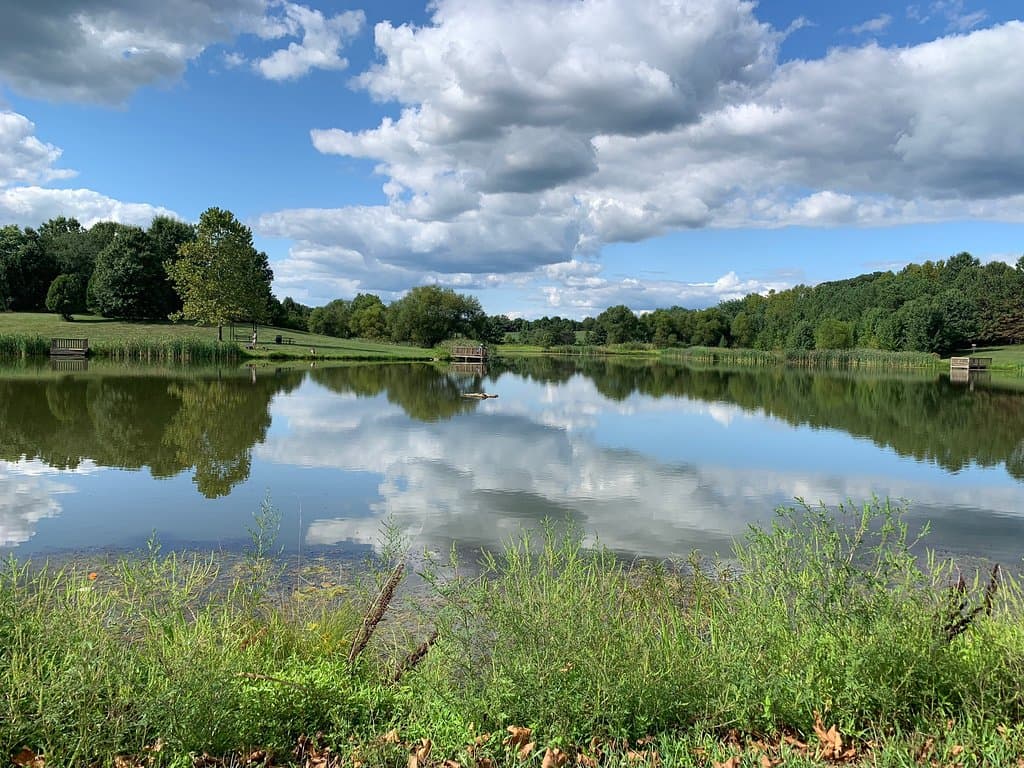 Franklin Park