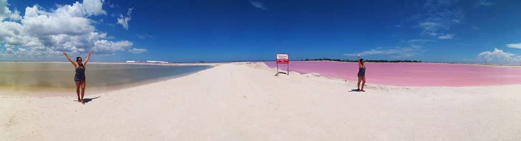 Flamingo Spotting
