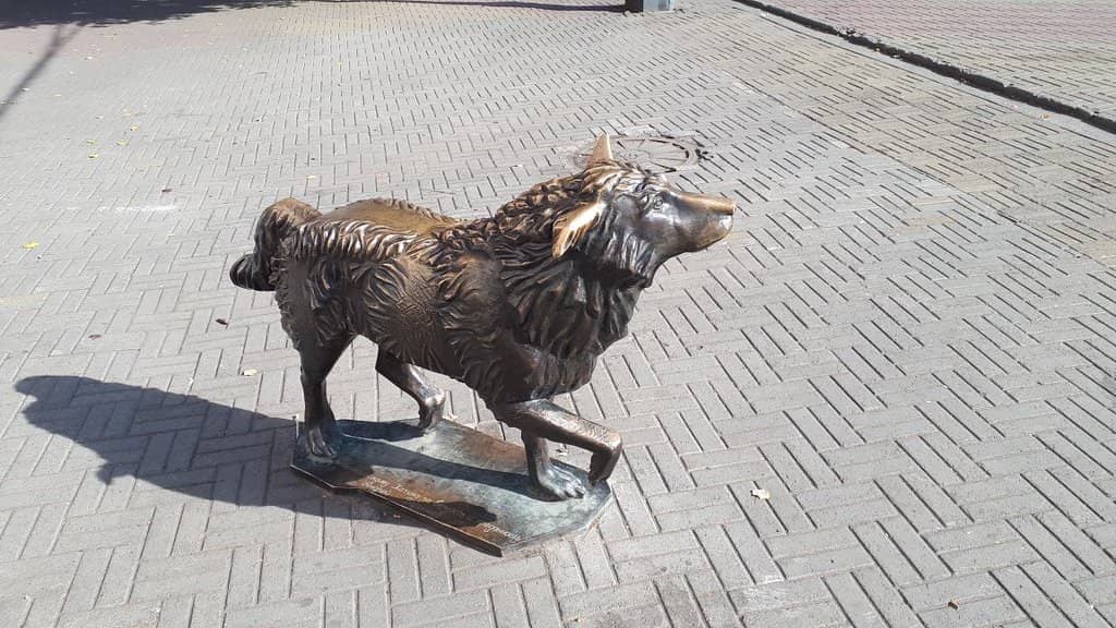 Evening Illumination