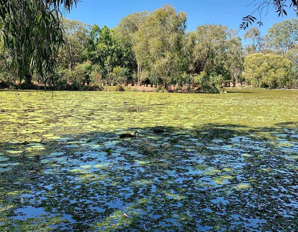 Baldwin Swamp Environmental Park