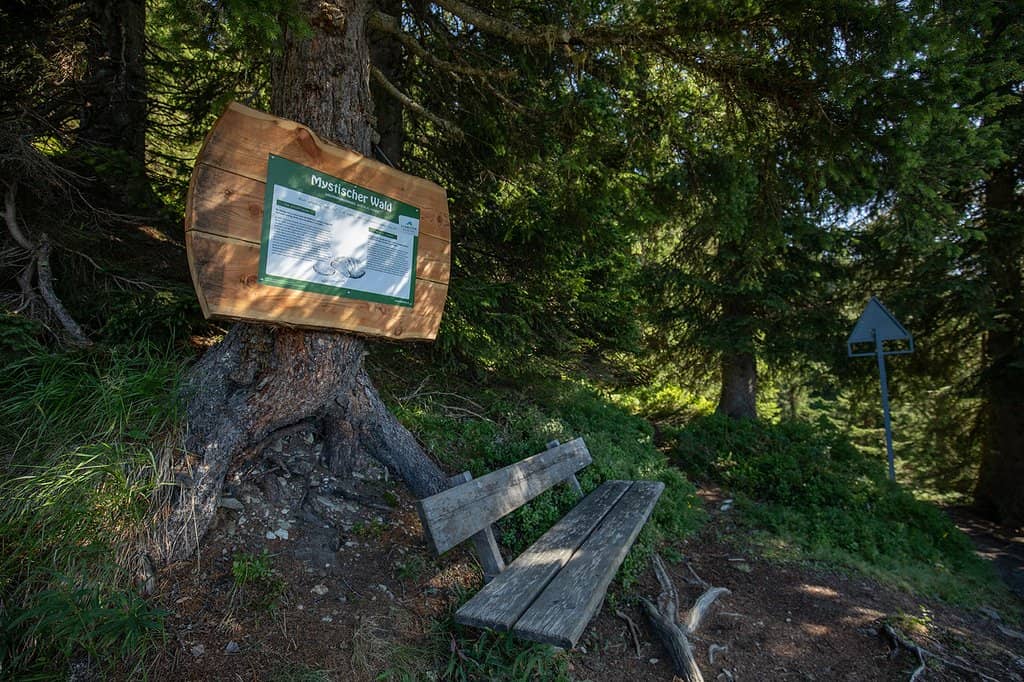 Themed Hiking Trails