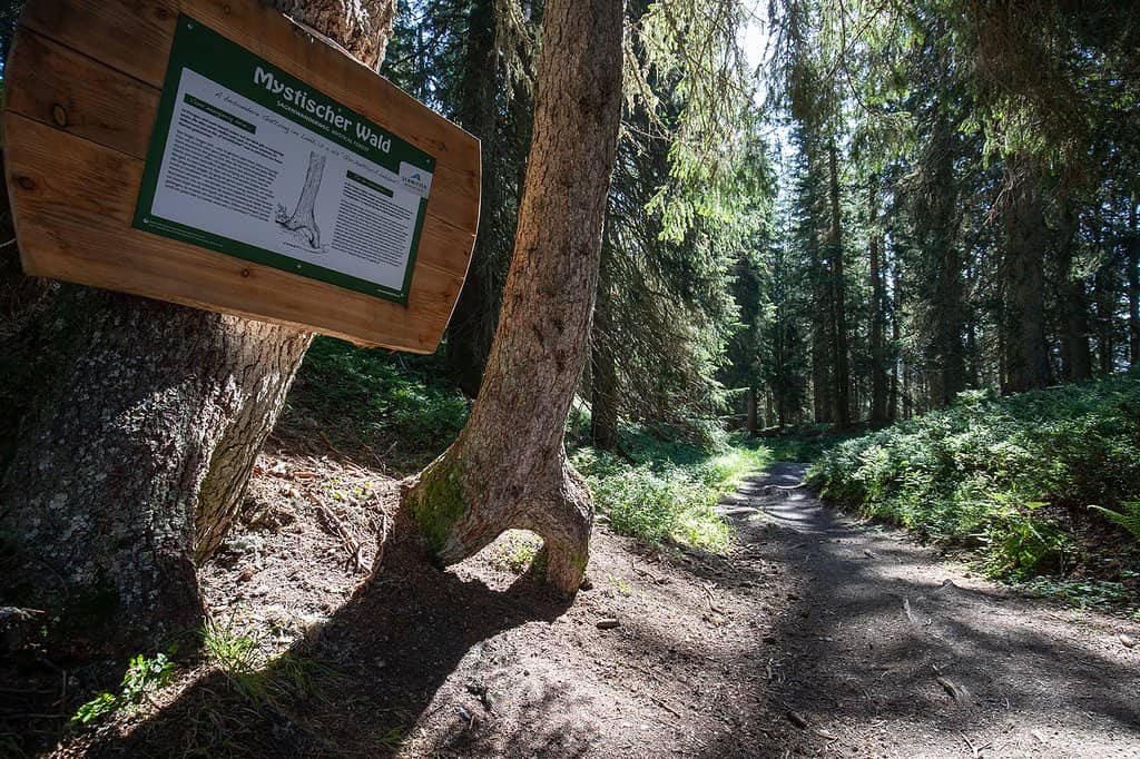 Winter Sports Paradise