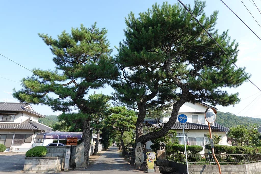 Former Temple Complex Site