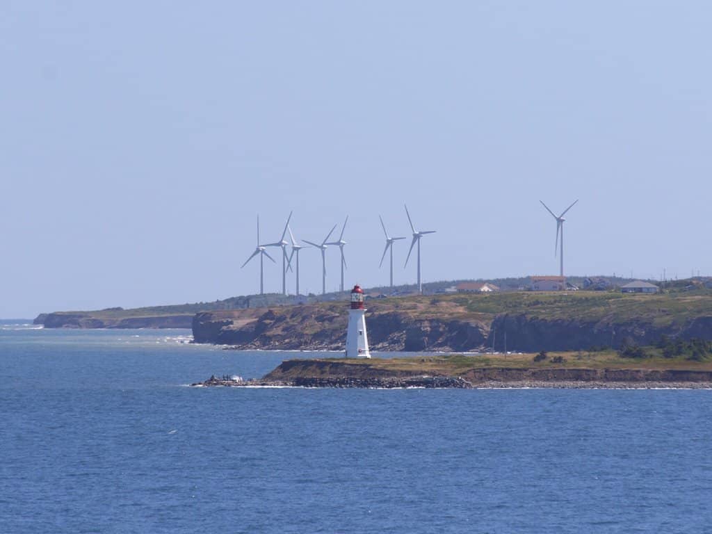 Coastal Walk & Dog-Friendly Fun