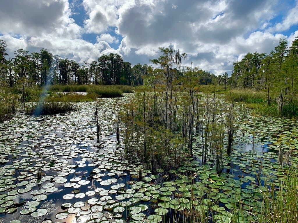 Tibet-Butler Nature Preserve Orlando