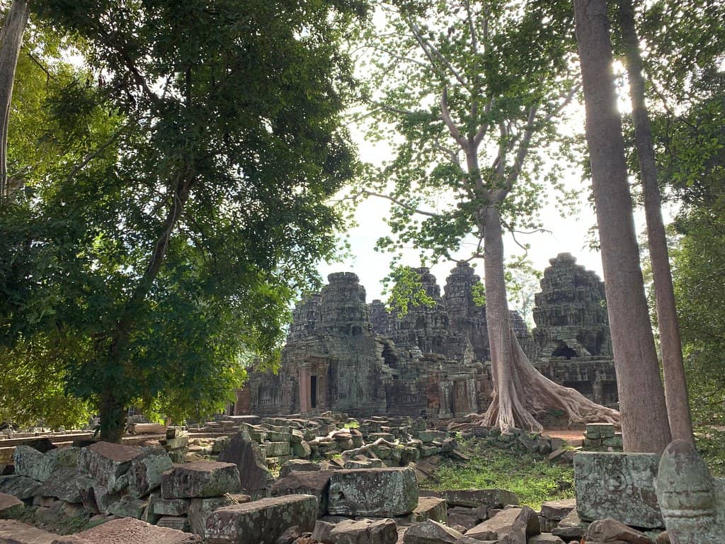 Vertical photo