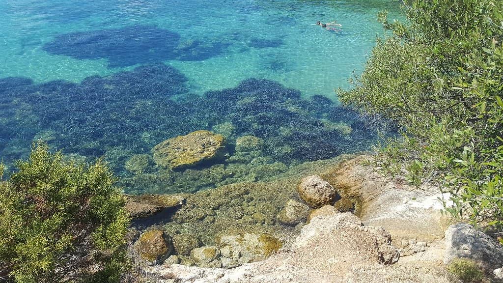 Scenic Island View