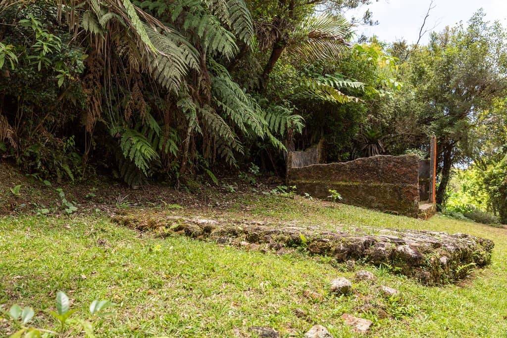 The Plantation Owner's Mansion