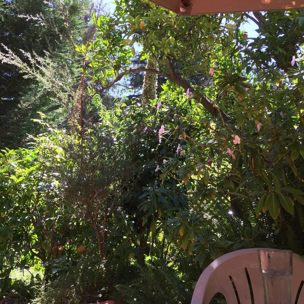 Delightful Vegetarian Options